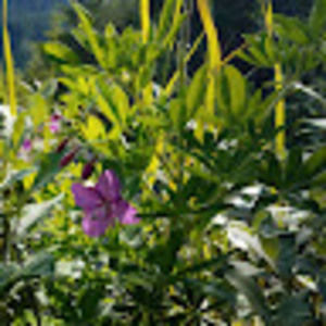 Meet your Posher, Jadyn